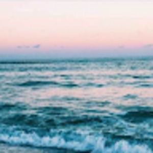 Meet your Posher, Lani